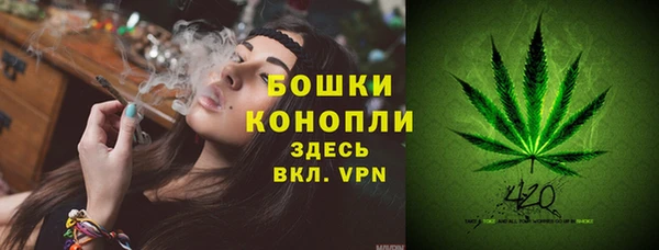 индика Лагань