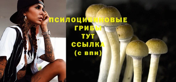 гашиш Ладушкин