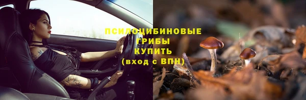 индика Лагань