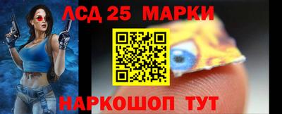 стафф Донецк