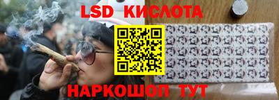 стафф Донецк