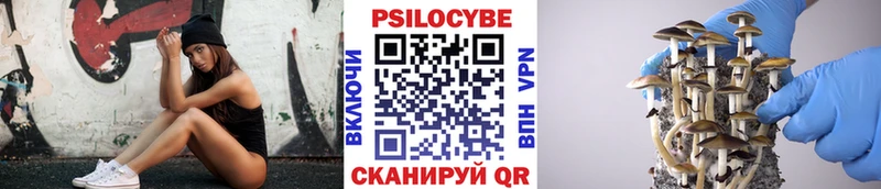 купить наркотики сайты  Тамбов  Галлюциногенные грибы Magic Shrooms 