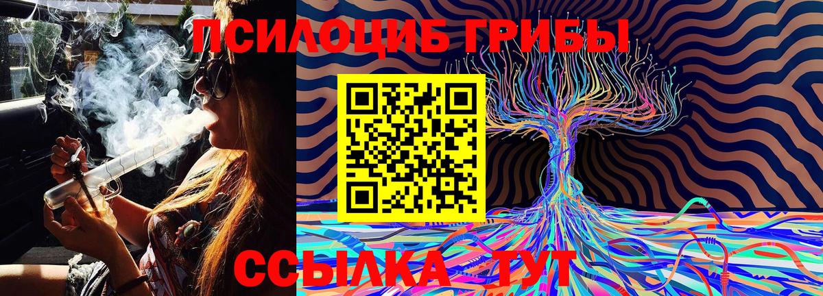 Псилоцибиновые грибы Magic Shrooms Тамбов